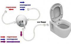 Hygienic shower for toilet with mixer: what types are there and self-installation
