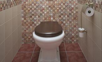 Small toilet renovation, small toilet design