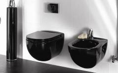 Black floor-standing toilet: photos, advantages and disadvantages, bathroom design options