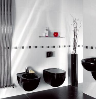 Toilet design with black toilet